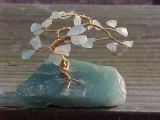 Aquamarine
                  bonsai