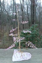 Pink
                  Tourmaline pine